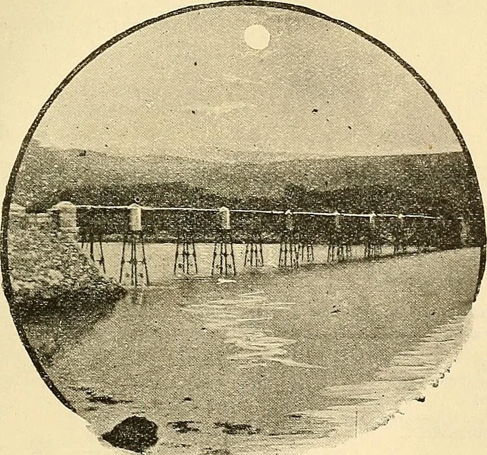 An illustration from Ireland: industrial and agricultural, 1902, leaf 320