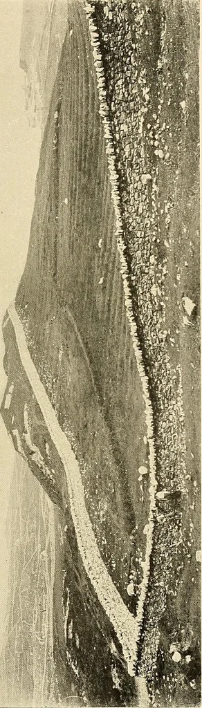 An illustration from Ireland: industrial and agricultural, 1902, leaf 324