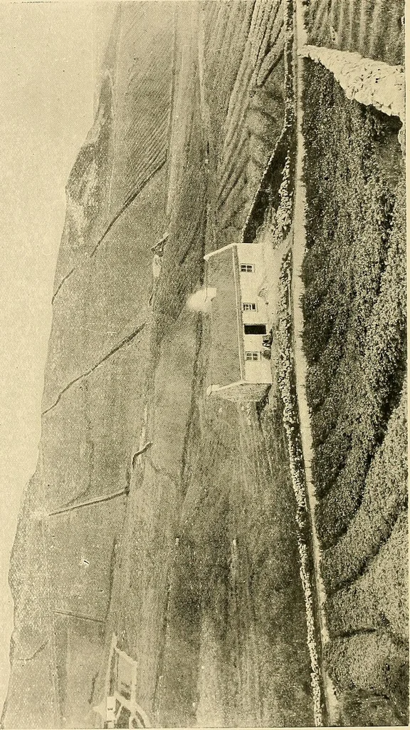 An illustration from Ireland: industrial and agricultural, 1902, leaf 325