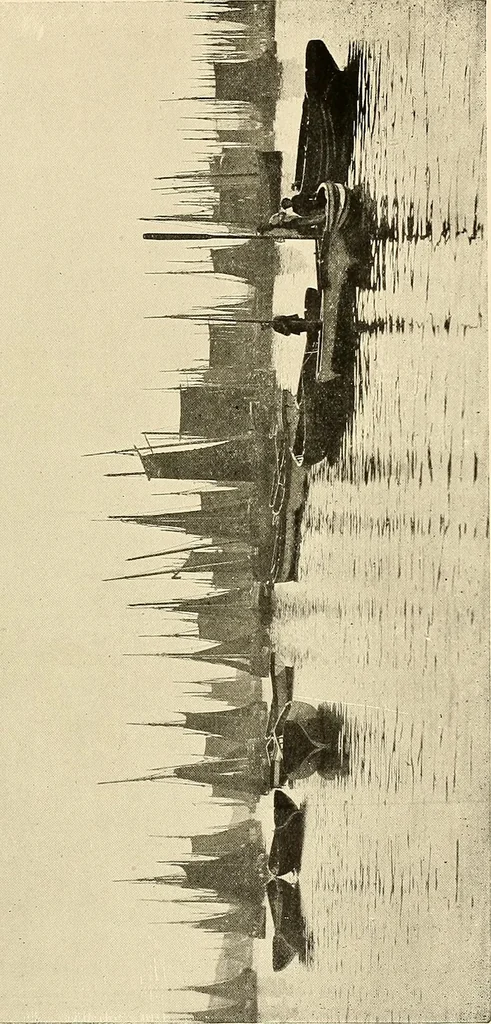 An illustration from Ireland: industrial and agricultural, 1902, leaf 330