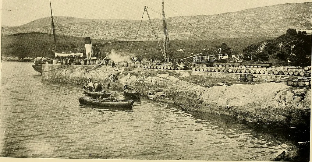 An illustration from Ireland: industrial and agricultural, 1902, leaf 331