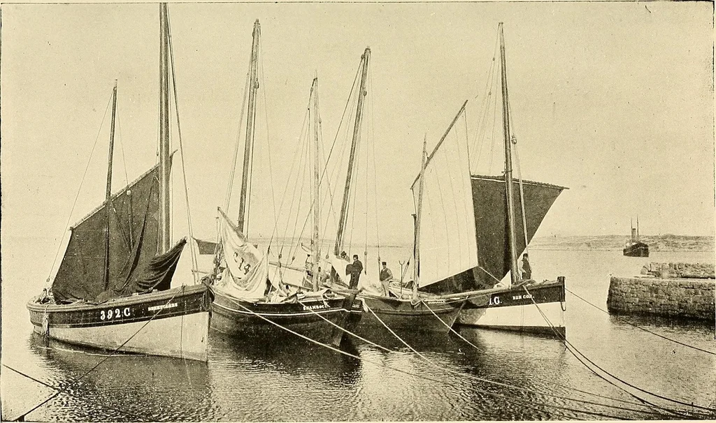 An illustration from Ireland: industrial and agricultural, 1902, leaf 334