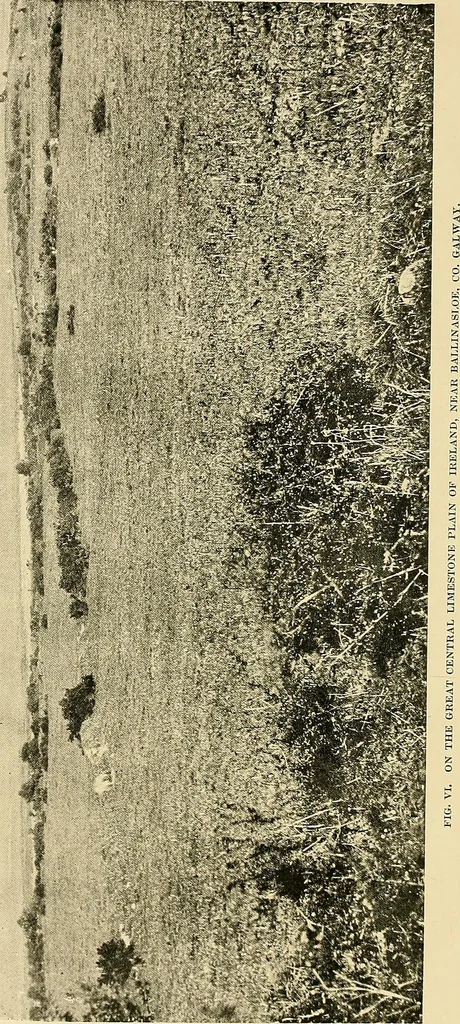 An illustration from Ireland: industrial and agricultural, 1902, leaf 35