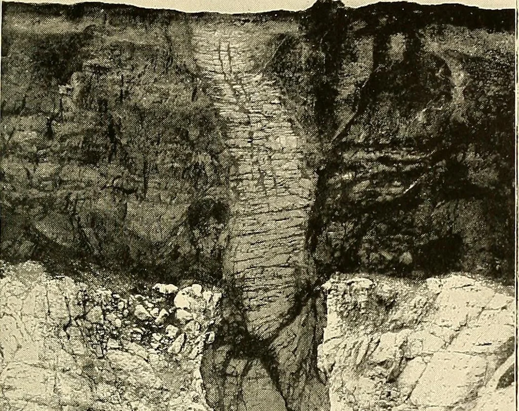 An illustration from Ireland: industrial and agricultural, 1902, leaf 40