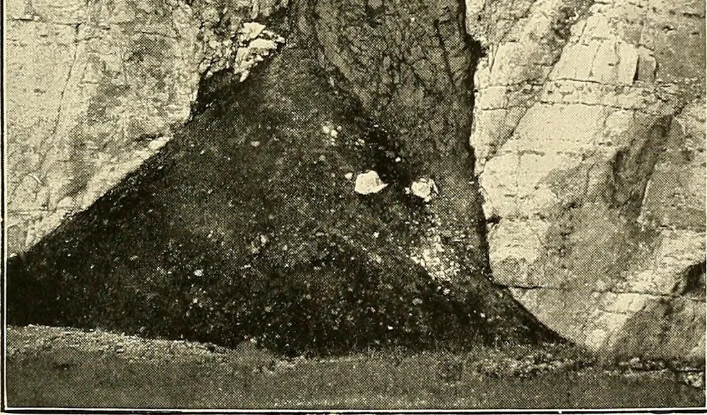 An illustration from Ireland: industrial and agricultural, 1902, leaf 40
