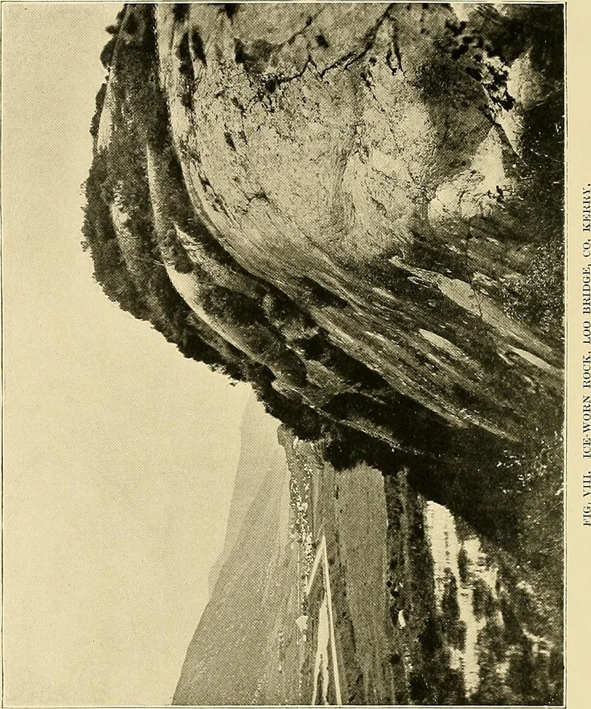 An illustration from Ireland: industrial and agricultural, 1902, leaf 41