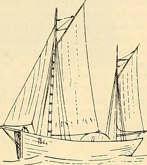 An illustration from Ireland: industrial and agricultural, 1902, leaf 464