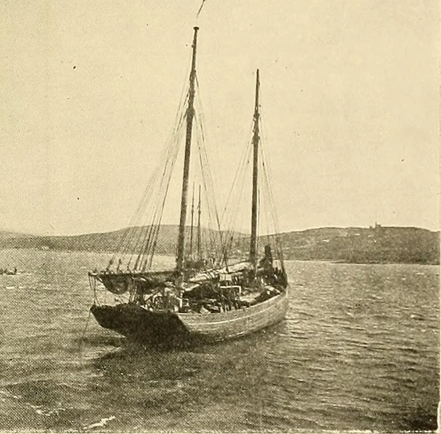 An illustration from Ireland: industrial and agricultural, 1902, leaf 466