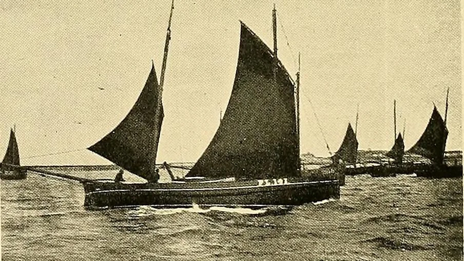 An illustration from Ireland: industrial and agricultural, 1902, leaf 467