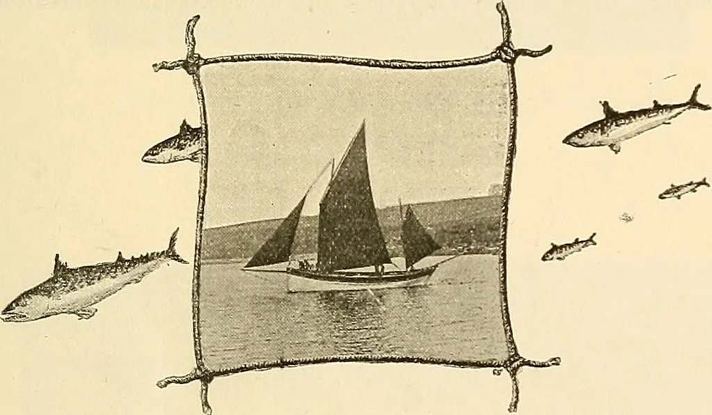 An illustration from Ireland: industrial and agricultural, 1902, leaf 480