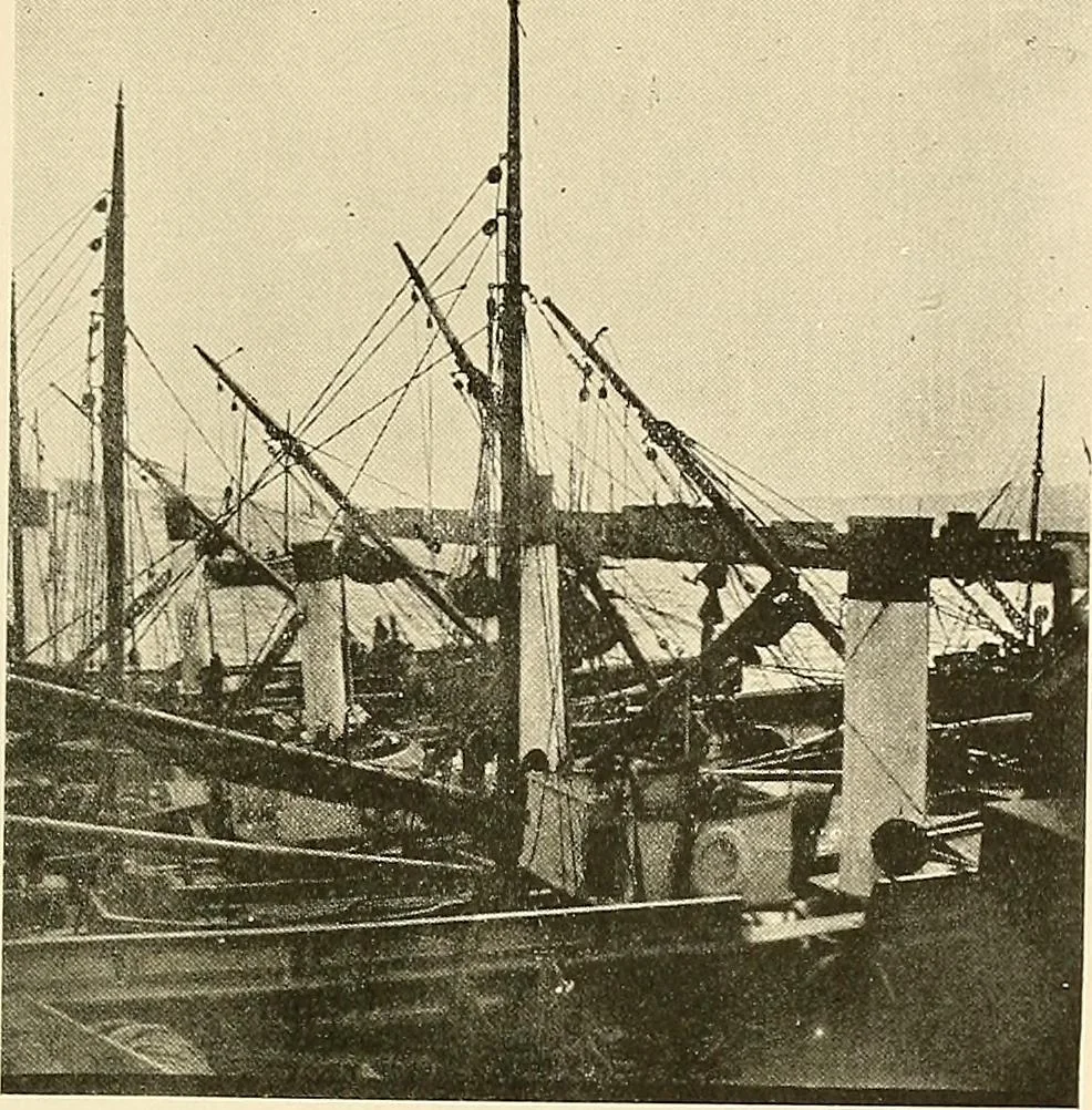 An illustration from Ireland: industrial and agricultural, 1902, leaf 482