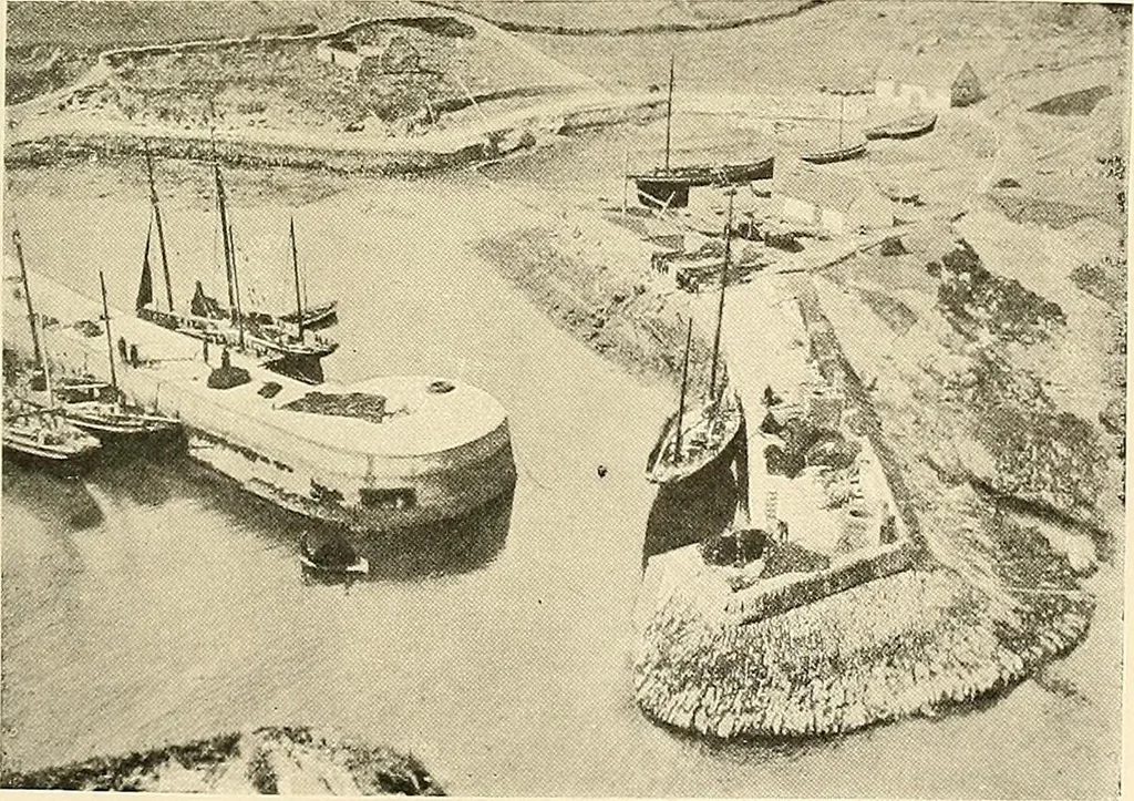 An illustration from Ireland: industrial and agricultural, 1902, leaf 482