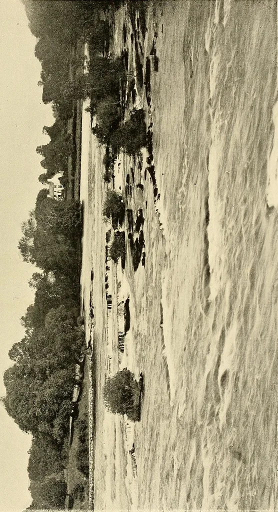 An illustration from Ireland: industrial and agricultural, 1902, leaf 486