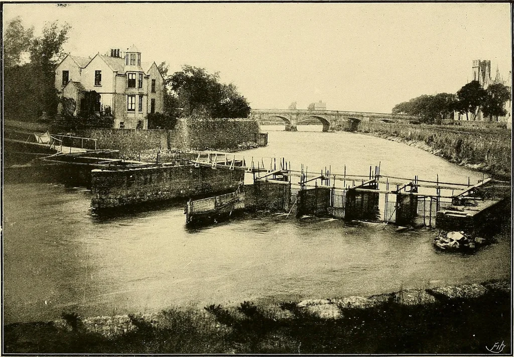 An illustration from Ireland: industrial and agricultural, 1902, leaf 487