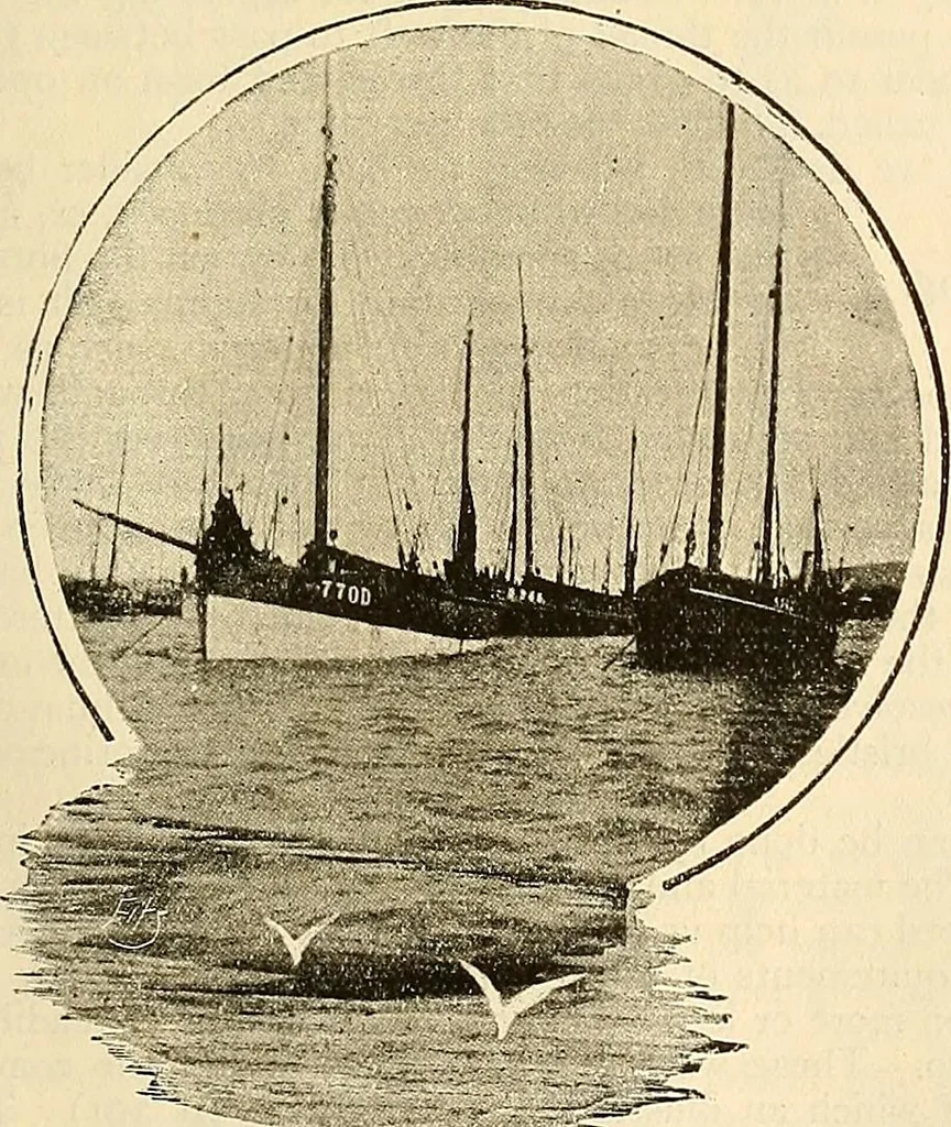 An illustration from Ireland: industrial and agricultural, 1902, leaf 488