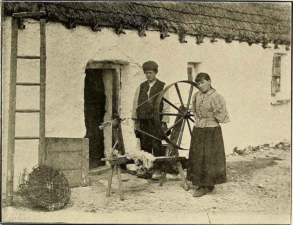 An illustration from Ireland: industrial and agricultural, 1902, leaf 494