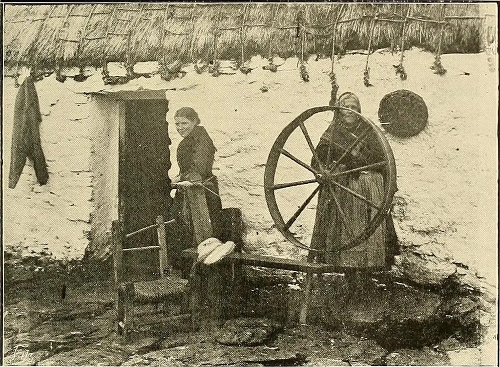 An illustration from Ireland: industrial and agricultural, 1902, leaf 494
