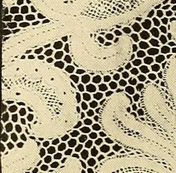 An illustration from Ireland: industrial and agricultural, 1902, leaf 525