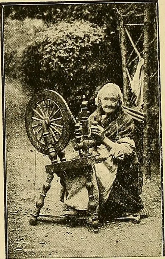 An illustration from Ireland: industrial and agricultural, 1902, leaf 547