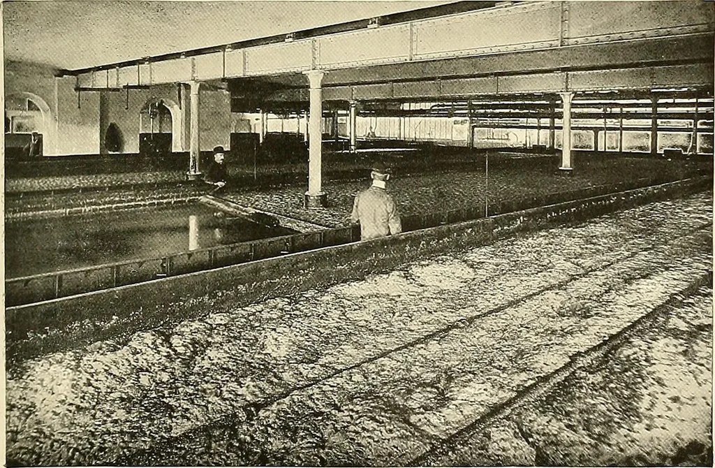 An illustration from Ireland: industrial and agricultural, 1902, leaf 600