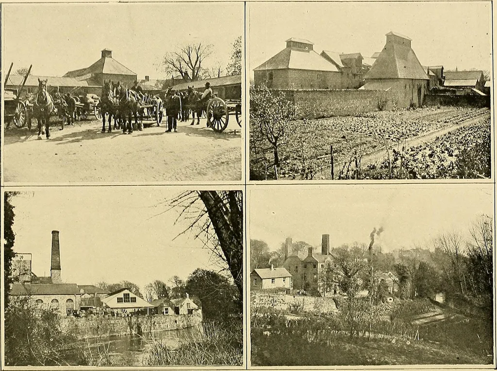 An illustration from Ireland: industrial and agricultural, 1902, leaf 611