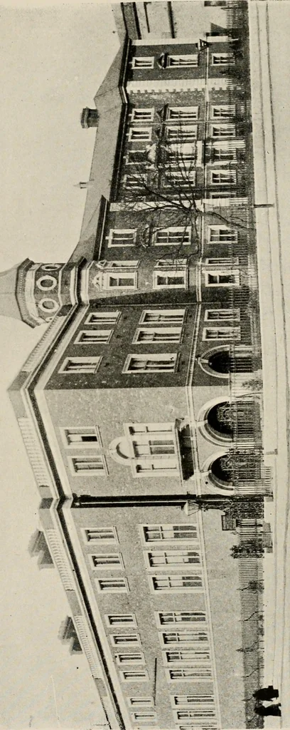 An illustration from Ireland; industrial and agricultural, 1902, leaf 204