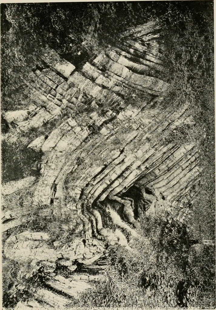 An illustration from Ireland; industrial and agricultural, 1902, leaf 24