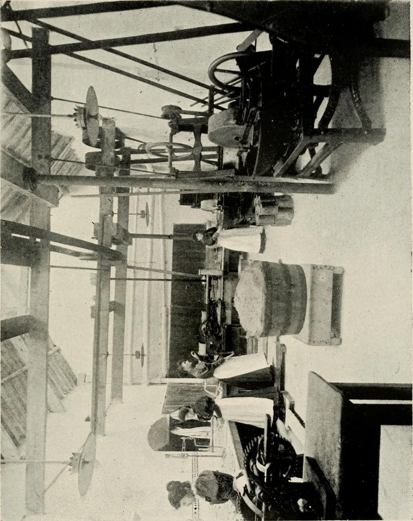 An illustration from Ireland; industrial and agricultural, 1902, leaf 314