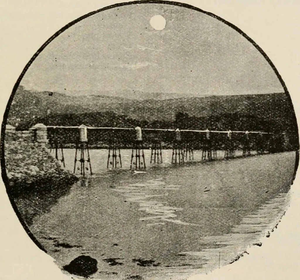 An illustration from Ireland; industrial and agricultural, 1902, leaf 322