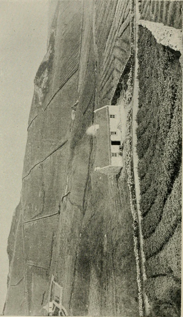 An illustration from Ireland; industrial and agricultural, 1902, leaf 327