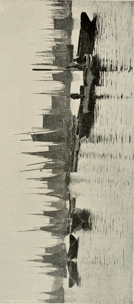 An illustration from Ireland; industrial and agricultural, 1902, leaf 332