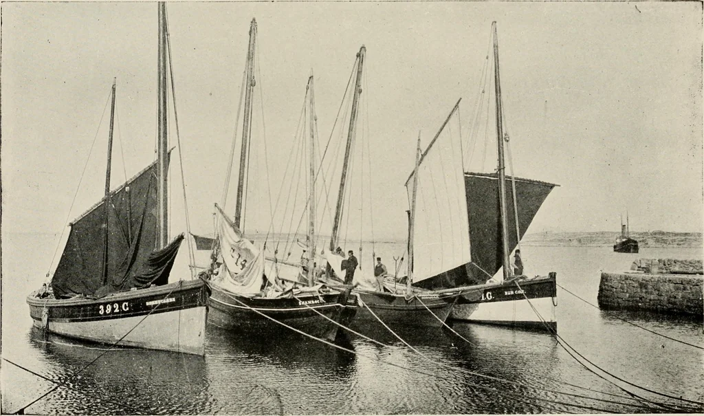 An illustration from Ireland; industrial and agricultural, 1902, leaf 336