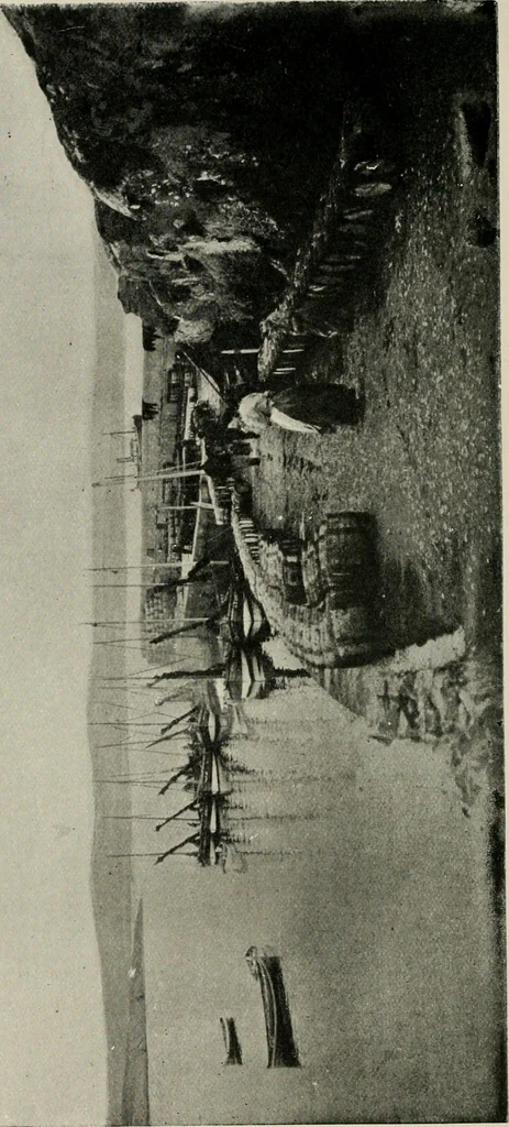 An illustration from Ireland; industrial and agricultural, 1902, leaf 337