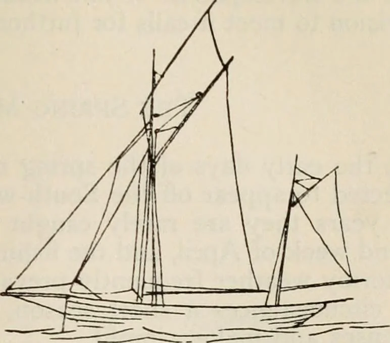 An illustration from Ireland; industrial and agricultural, 1902, leaf 472