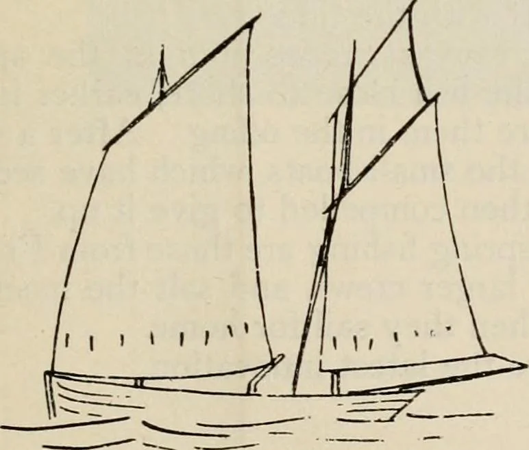 An illustration from Ireland; industrial and agricultural, 1902, leaf 472
