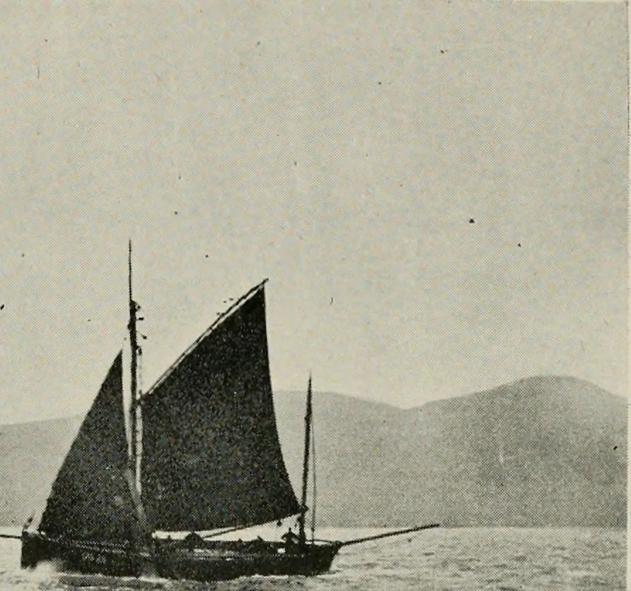 An illustration from Ireland; industrial and agricultural, 1902, leaf 475