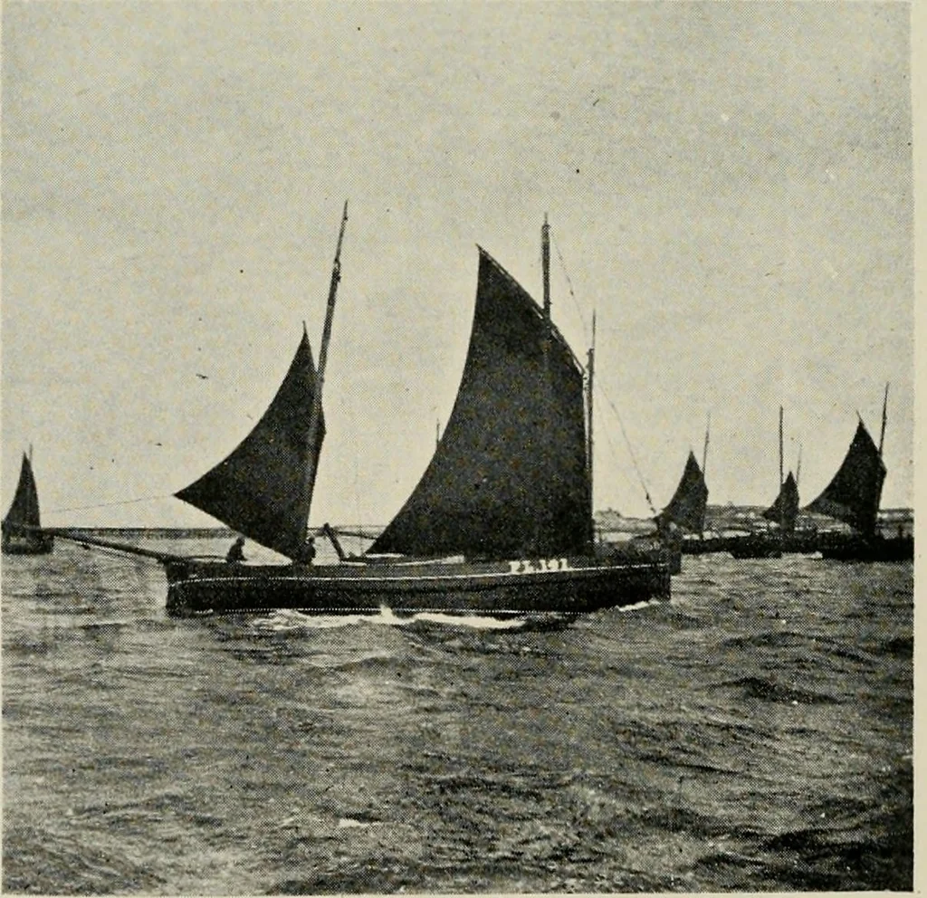 An illustration from Ireland; industrial and agricultural, 1902, leaf 475