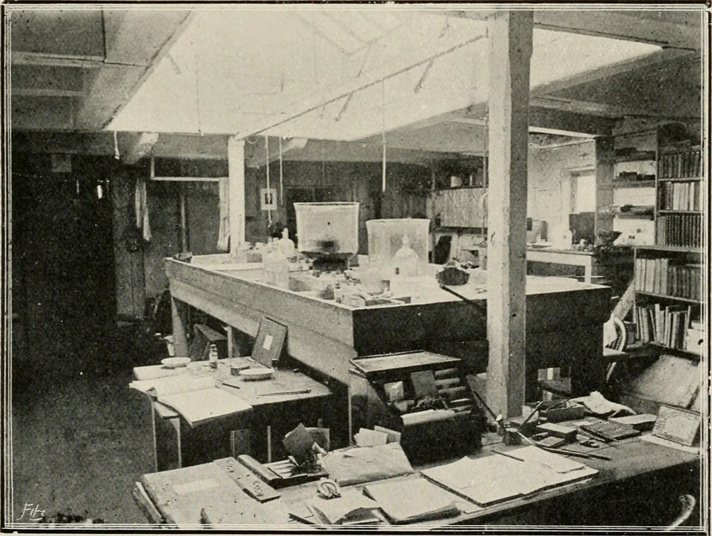 An illustration from Ireland; industrial and agricultural, 1902, leaf 488