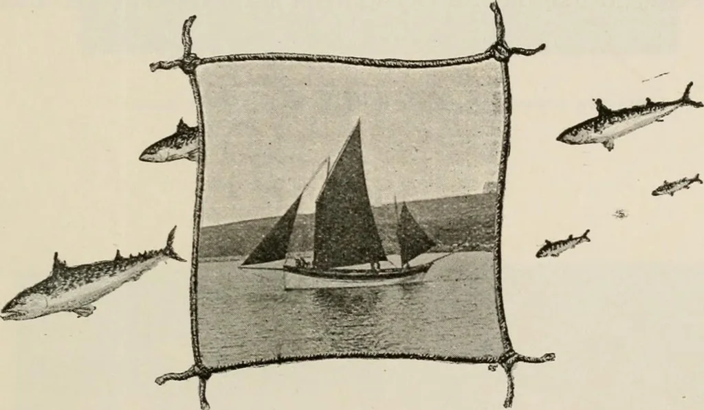 An illustration from Ireland; industrial and agricultural, 1902, leaf 490