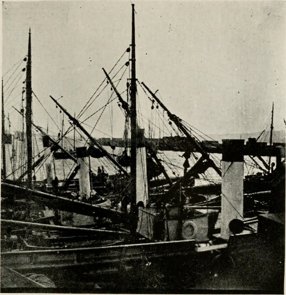 An illustration from Ireland; industrial and agricultural, 1902, leaf 492