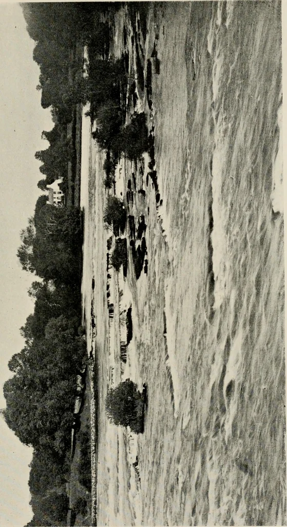 An illustration from Ireland; industrial and agricultural, 1902, leaf 496