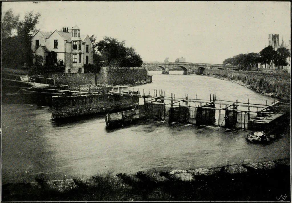 An illustration from Ireland; industrial and agricultural, 1902, leaf 497