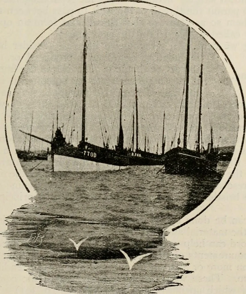 An illustration from Ireland; industrial and agricultural, 1902, leaf 498