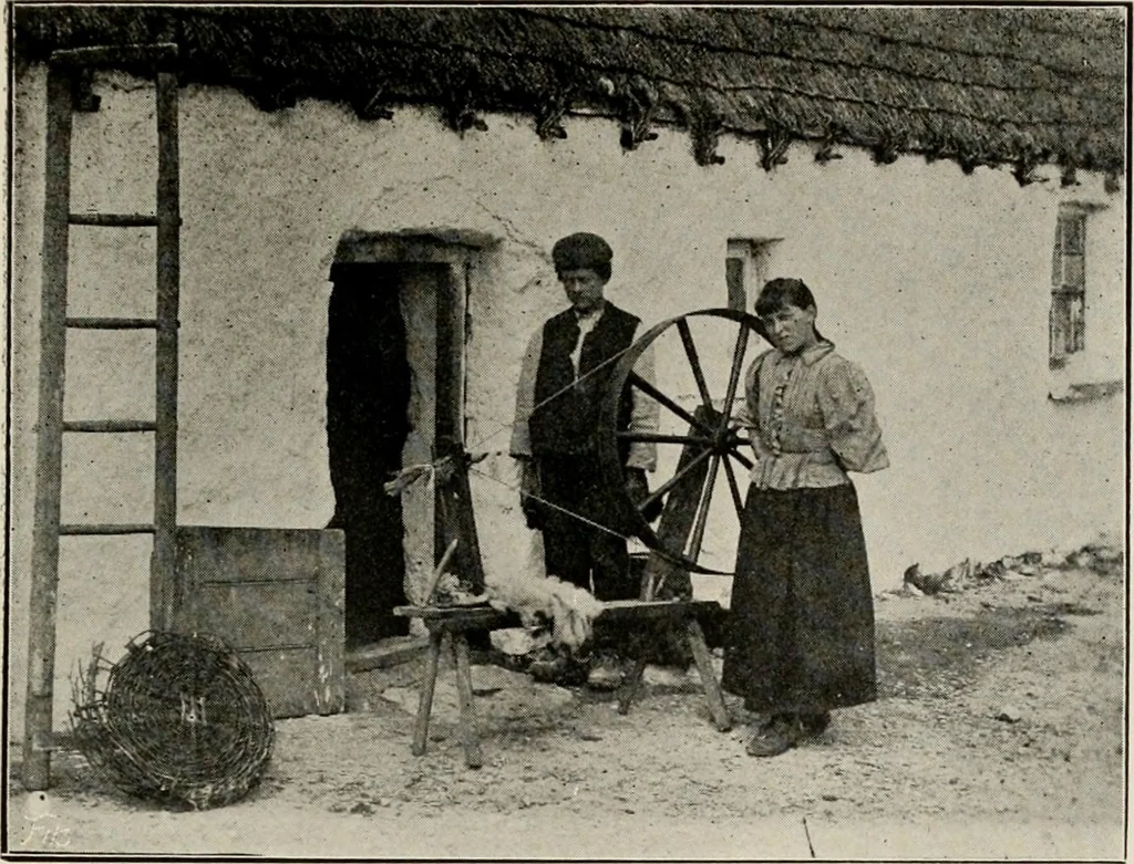 An illustration from Ireland; industrial and agricultural, 1902, leaf 504