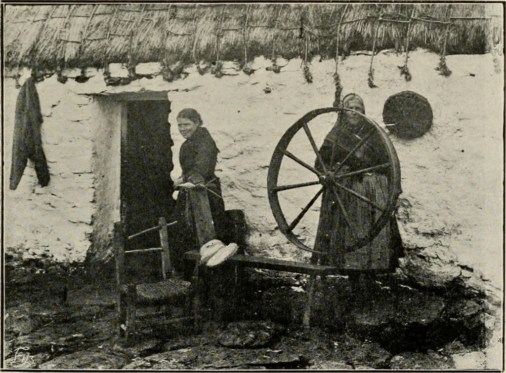 An illustration from Ireland; industrial and agricultural, 1902, leaf 504