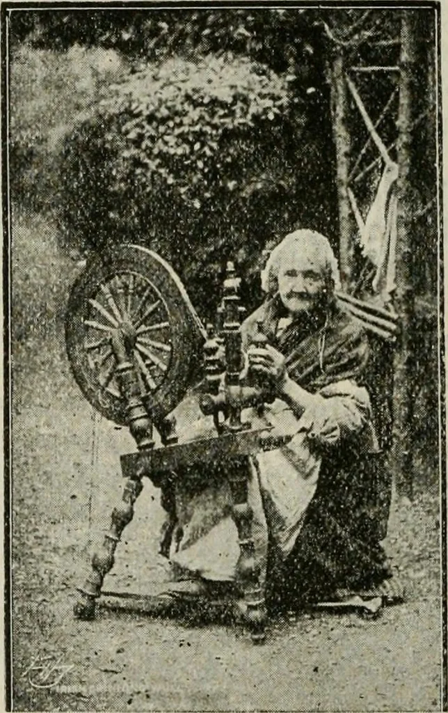 An illustration from Ireland; industrial and agricultural, 1902, leaf 557