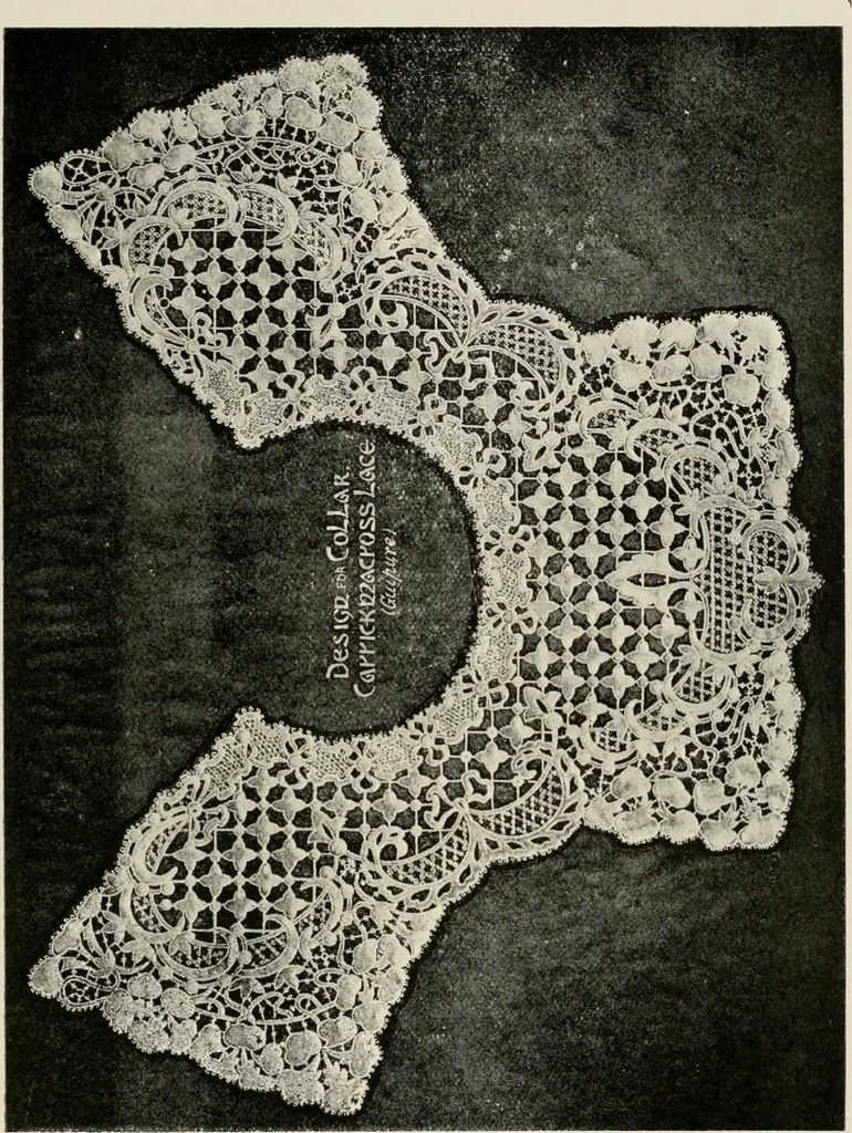 An illustration from Ireland; industrial and agricultural, 1902, leaf 562