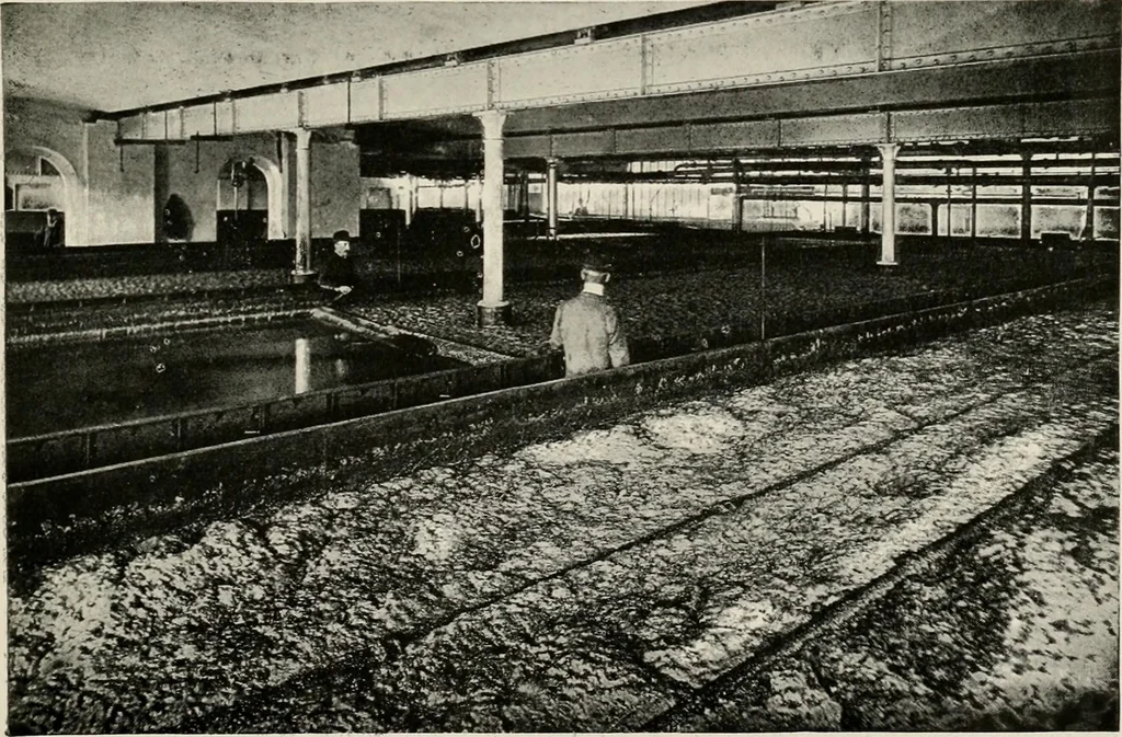 An illustration from Ireland; industrial and agricultural, 1902, leaf 610