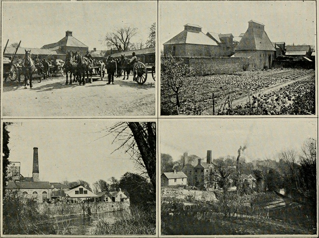 An illustration from Ireland; industrial and agricultural, 1902, leaf 621
