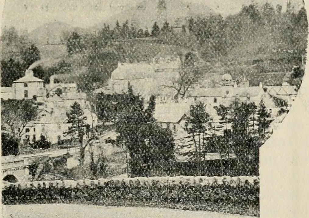 An illustration from Ireland; industrial and agricultural, 1902, leaf 78